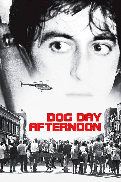 ดูหนังออนไลน์ฟรี Dog Day Afternoon (1975) ด็อก เดย์ อาฟเตอร์นูน