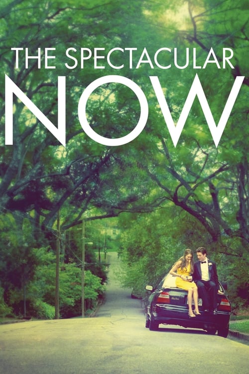 The Spectacular Now (2013) ใครสักคนบนโลกใบนี้