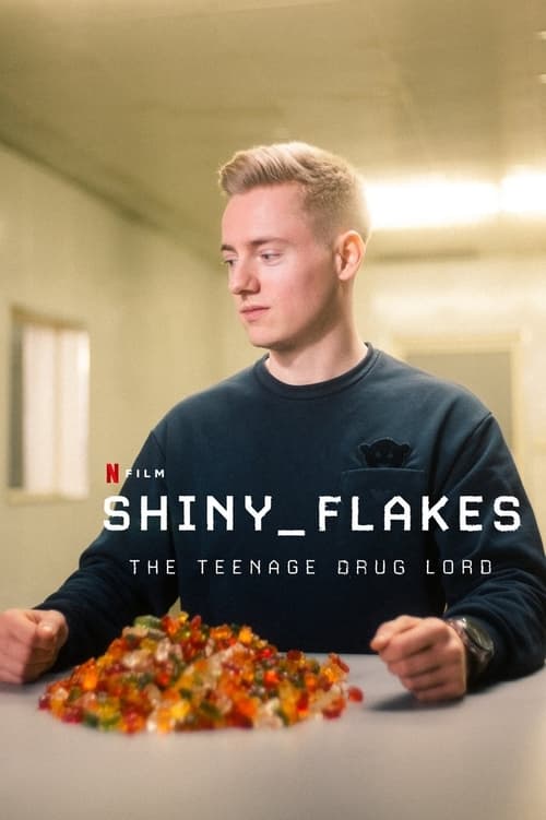 ดูหนังออนไลน์ฟรี [NETFLIX] Shiny Flakes The Teenage Drug Lord (2021) ชายนี่ เฟลคส์ เจ้าพ่อยาวัยรุ่น
