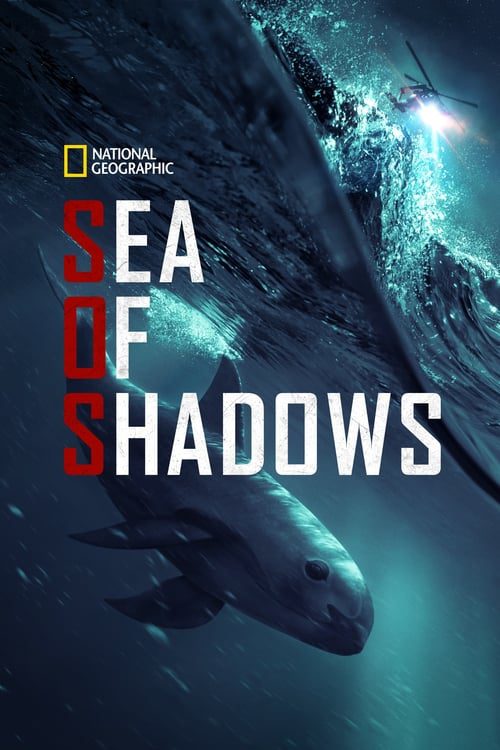 ดูหนังออนไลน์ฟรี Sea of Shadows (2019) ทะเลแห่งเงา