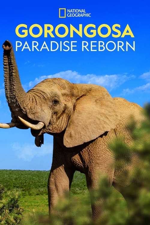 ดูหนังออนไลน์ฟรี Gorongosa Paradise Reborn (2022)