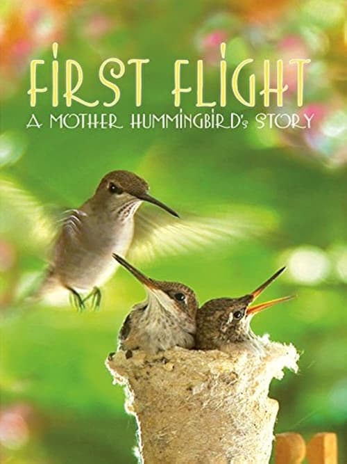 ดูหนังออนไลน์ First Flight A Mother Hummingbirds Story (2009)