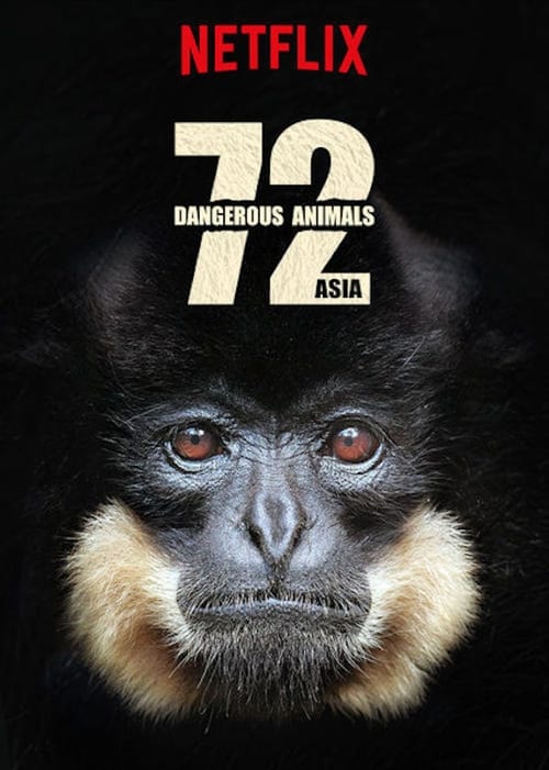 ดูหนังออนไลน์ฟรี 72 Dangerous Animals (2018) 72 สัตว์อันตราย EP.1-12 (จบ)