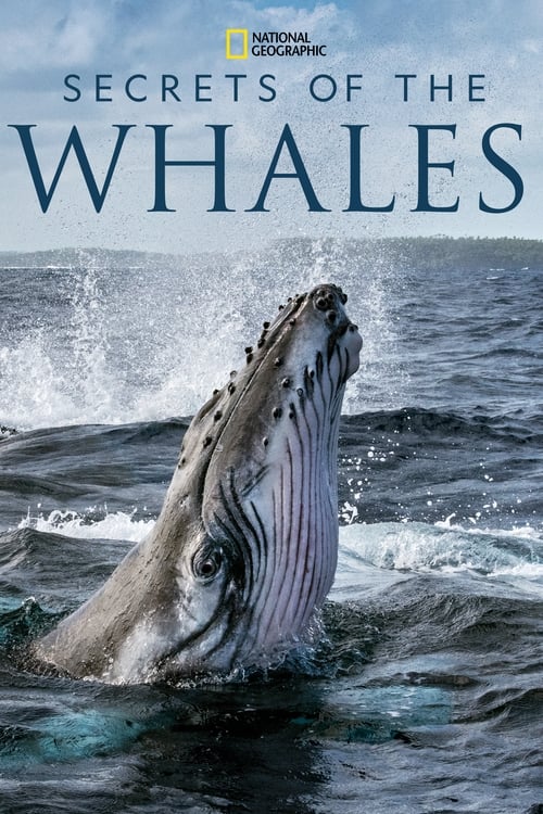 ดูหนังออนไลน์ฟรี Secrets of the Whales (2021) EP.1-4 (จบ)